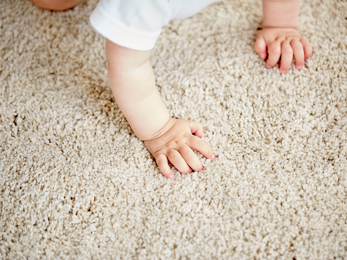 The Rug Cleaning Centre | The Shire's Only Rug Cleaning Centre