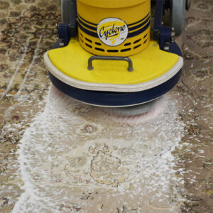 rug cleaning, rug cleaning, stain removal, the rug cleaning centre, carpet cleaning